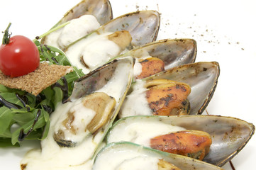 mussels with sauce and greens on a white background
