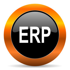 erp icon