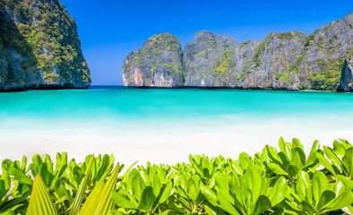 beach sea