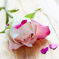 pink rose and two little hearts on a  wood background