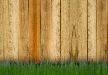 On a fence grass