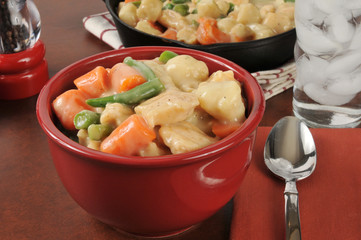 Gourmet Chicken and dumplings