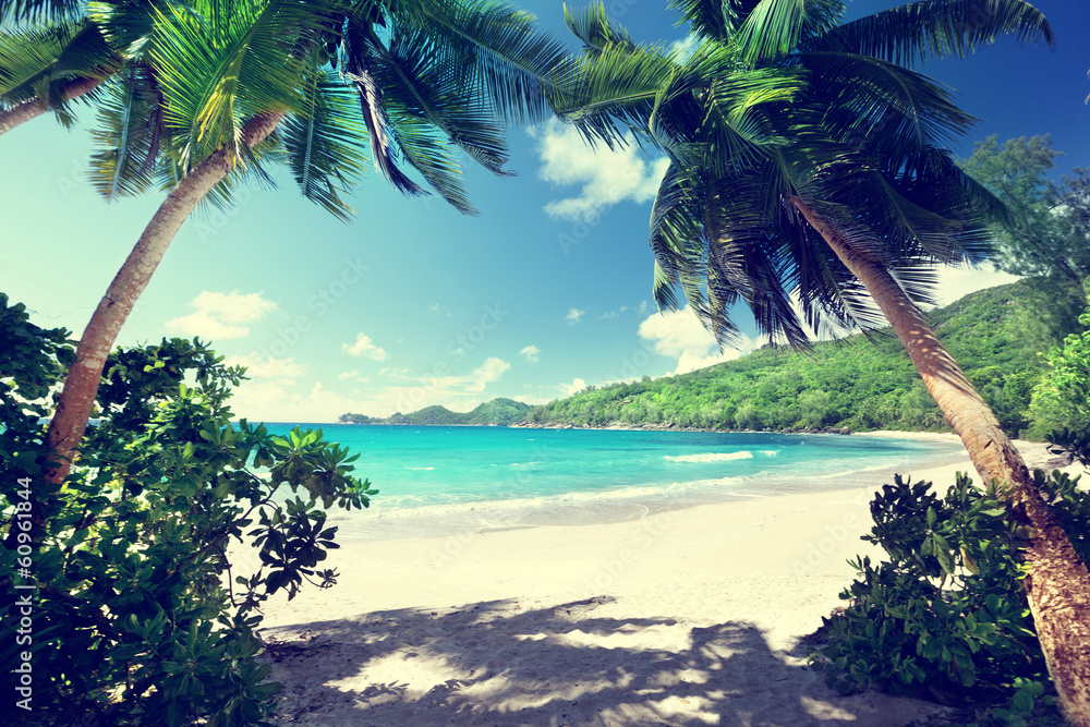 Wall mural beach, mahe island, seychelles