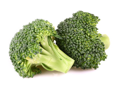 Green broccoli  on white