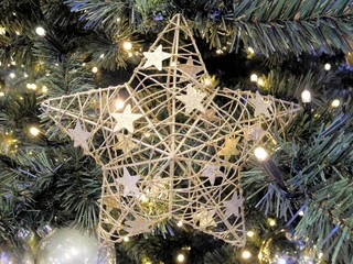 Weihnachtsstern