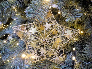 Weihnachtsstern