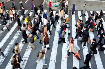 横断歩道と歩行者