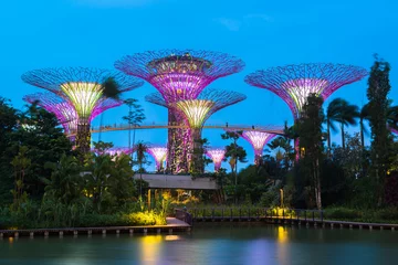 Photo sur Plexiglas Singapour Gardens by the Bay - SuperTree Grove à Singapour