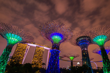 Gardens by the Bay - SuperTree Grove in Singapore