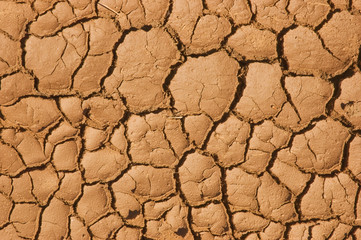 Cracked earth