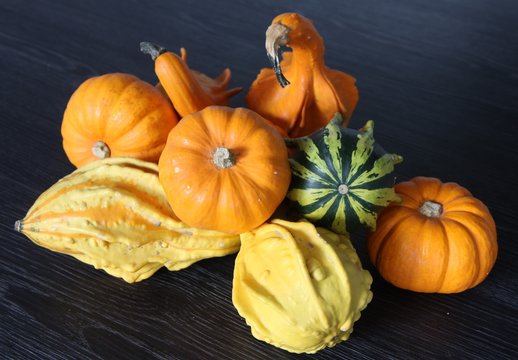 mini citrouilles et coloquintes,jack be little