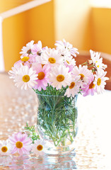 Daisy flowers in a glass vase on the table on a sunny day