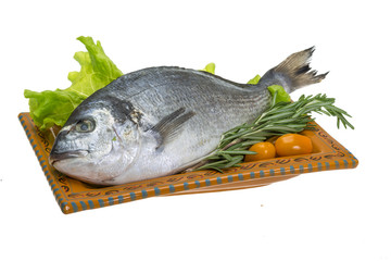 Raw dorado