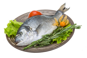 Raw dorado with herbs