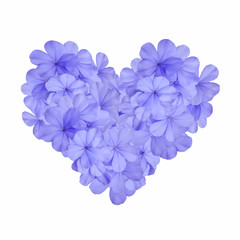 Heart shape with blue flower plumbago