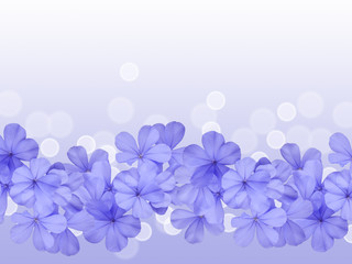border or background with blue flower plumbago