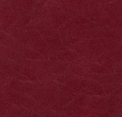 Fototapeta premium leatherette