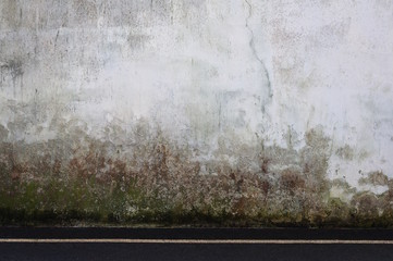 Hintergrund feuchte Wand mit Algen und Schimmel