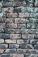 the wall for texture