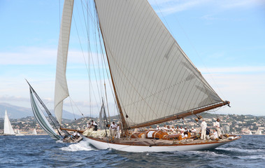 Naklejka premium régates