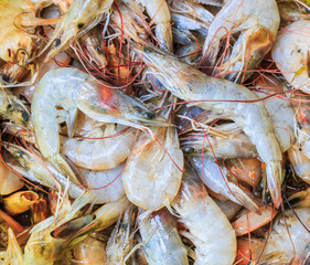 Raw shrimps for cooking