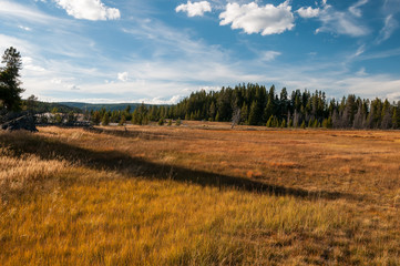 Autumn meadow in Yellowstone NP. © 1tomm