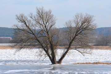 Deich an der Oder Hochwasserschutzgebiet
