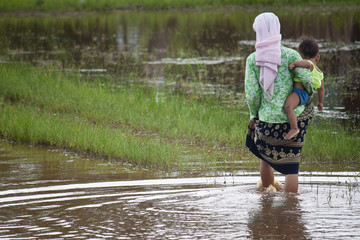 Woman with child in paddy field, Cambodia