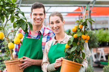 Gardener in market garden or nursery