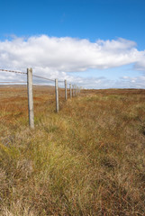 Fototapeta premium Wooden fence Peak District