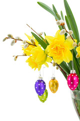 daffodil flowers with catkins and easter eggs © neirfy