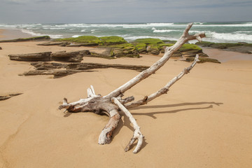 Goukamma NR, S&uuml;dafrika