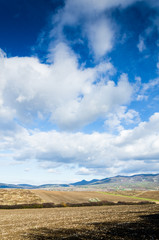 brown field and blue sky.