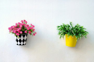 Flower pots wall