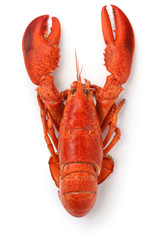 boiled lobster isolated on white background