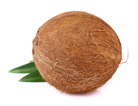 Coconut with leaves on a white