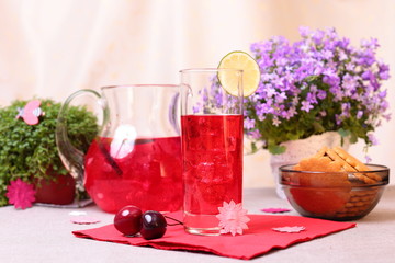 Cold cranberry mors drink © bozhdb