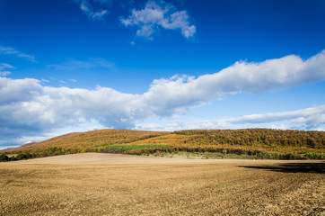 brown field and blue sky.