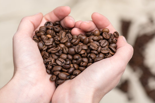 heart of cofee grains in hollow of the hand