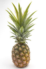 Obraz premium Pineapple