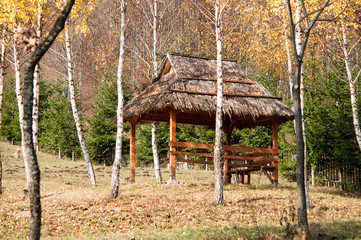 Wooden gazebo in the forest for relaxing