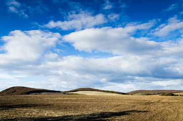 Fototapeta na wymiar brown field and blue sky.
