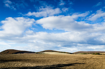 brown field and blue sky.