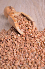 buckwheat