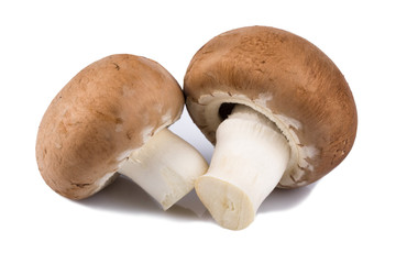 champignon mushroom isolated on white background