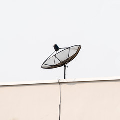 Satellite Dish