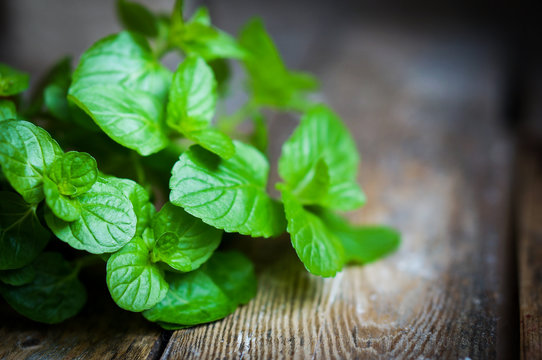 Fresh mint on rustic wooden background