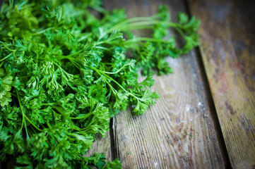 Fresh parsley on rustic wooden background