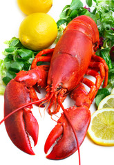 .boiled lobster