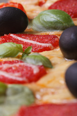 pizza with salami, tomato, olives and basil vertical. Macro